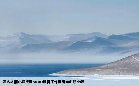 怎么才能小额贷款3000没有工作证明自由职业者