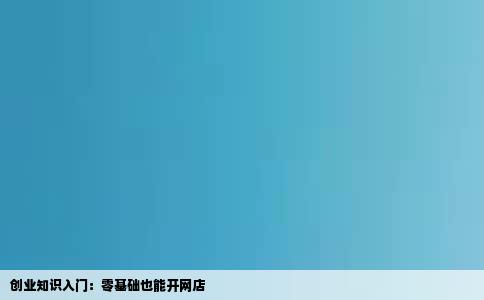 创业知识入门：零基础也能开网店