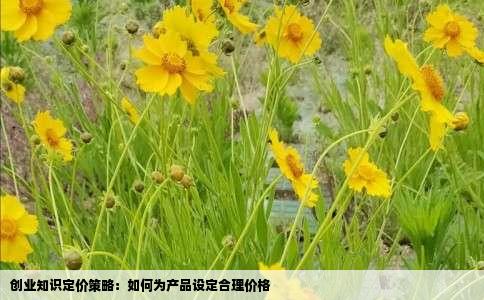 创业知识定价策略：如何为产品设定合理价格