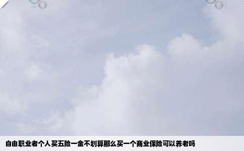 自由职业者个人买五险一金不划算那么买一个商业保险可以养老吗
