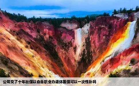 公司交了十年社保以自由职业办退休医保可以一次性补吗