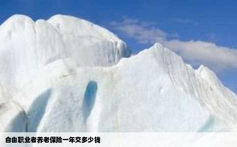 自由职业者养老保险一年交多少钱