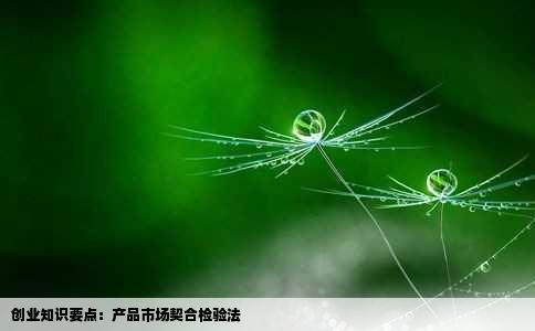 创业知识要点：产品市场契合检验法