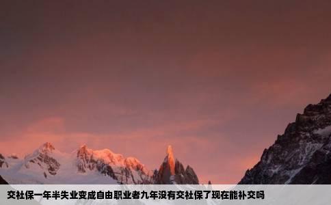 交社保一年半失业变成自由职业者九年没有交社保了现在能补交吗