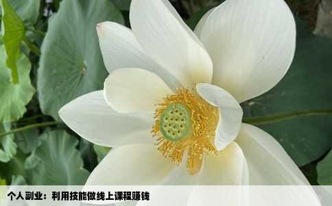 个人副业：利用技能做线上课程赚钱