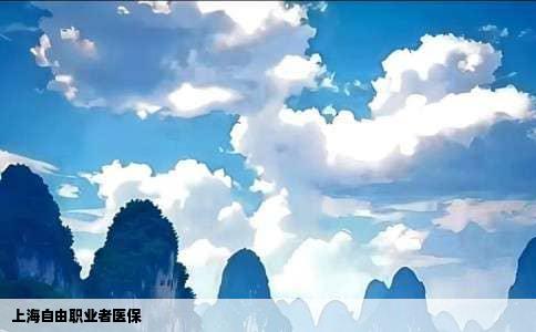 上海自由职业者医保