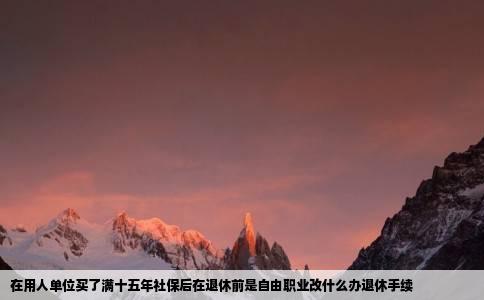 在用人单位买了满十五年社保后在退休前是自由职业改什么办退休手续
