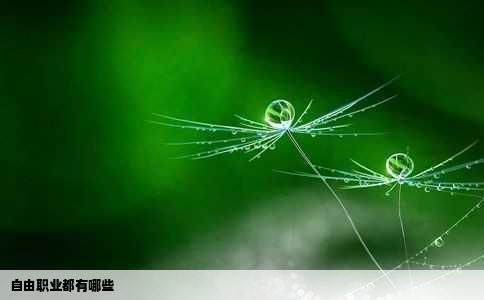 自由职业都有哪些