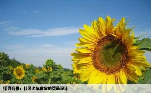 探寻商机：社区老年食堂的菜品设计