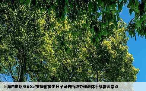 上海自由职业60足岁提前多少日子可去街道办理退休手续需要带点