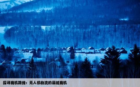 探寻商机路线：无人机物流的县域商机