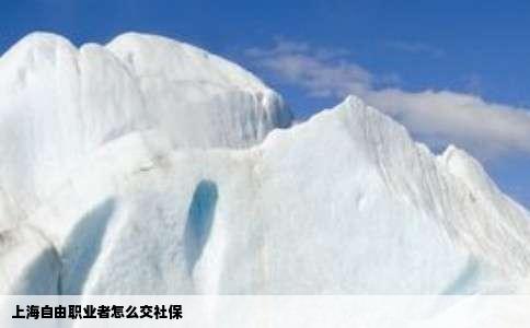 上海自由职业者怎么交社保