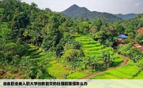 自由职业者入职大学任教前交的社保和医保怎么办