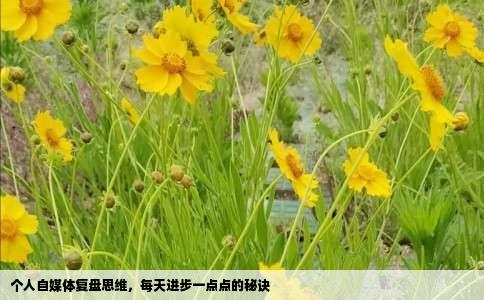 个人自媒体复盘思维，每天进步一点点的秘诀