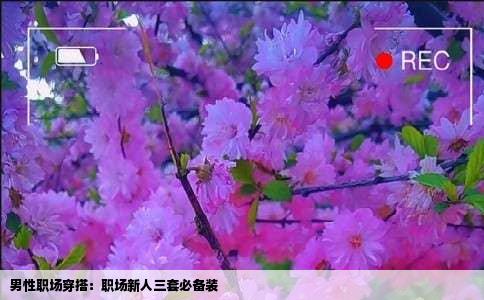 男性职场穿搭：职场新人三套必备装