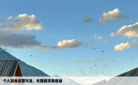 个人副业运营方法，长期稳定有收益