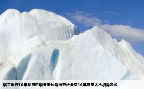 职工医疗10年现自由职业者后期医疗还要交10年感觉太不划算怎么