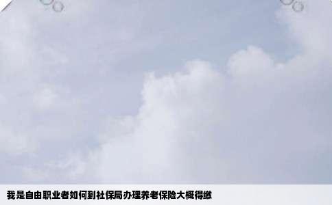 我是自由职业者如何到社保局办理养老保险大概得缴