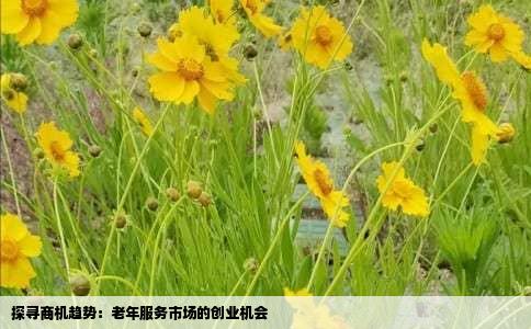 探寻商机趋势：老年服务市场的创业机会