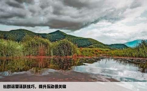 社群运营活跃技巧，提升互动很关键