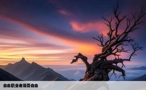 自由职业者是否自由