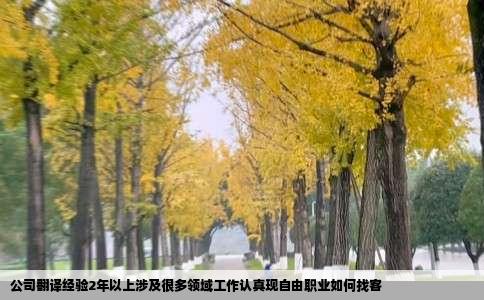 公司翻译经验2年以上涉及很多领域工作认真现自由职业如何找客