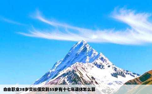 自由职业38岁交社保交到55岁有十七年退休怎么算