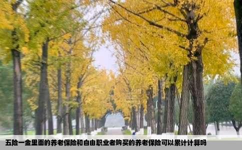 五险一金里面的养老保险和自由职业者购买的养老保险可以累计计算吗