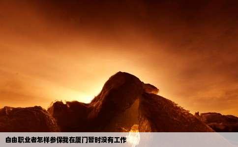 自由职业者怎样参保我在厦门暂时没有工作