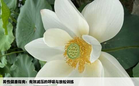 男性健康指南：有效减压的呼吸与放松训练