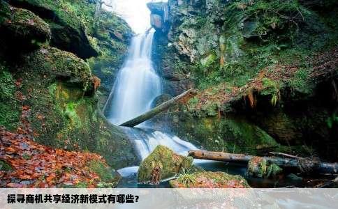 探寻商机共享经济新模式有哪些？