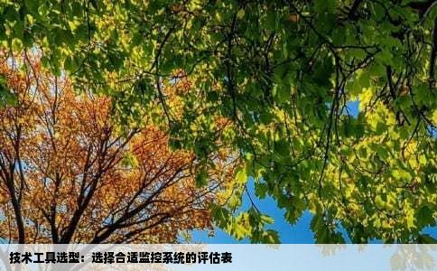 技术工具选型：选择合适监控系统的评估表