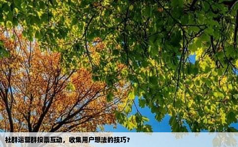 社群运营群投票互动，收集用户想法的技巧？