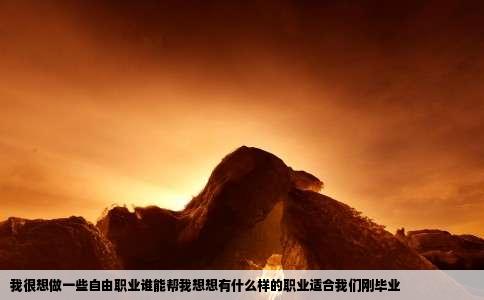 我很想做一些自由职业谁能帮我想想有什么样的职业适合我们刚毕业