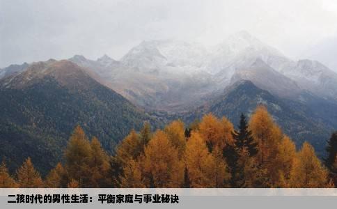 二孩时代的男性生活：平衡家庭与事业秘诀