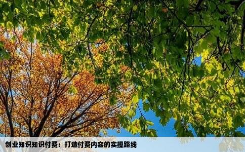 创业知识知识付费：打造付费内容的实操路线