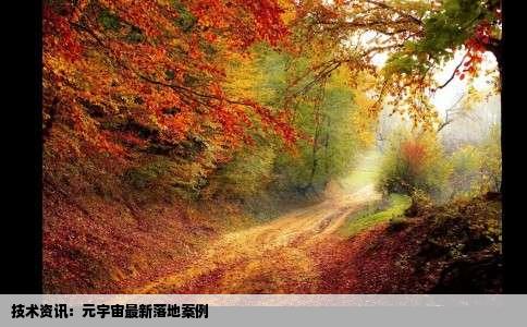 技术资讯：元宇宙最新落地案例