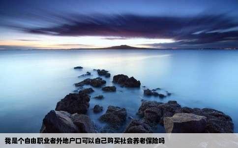 我是个自由职业者外地户口可以自己购买社会养老保险吗