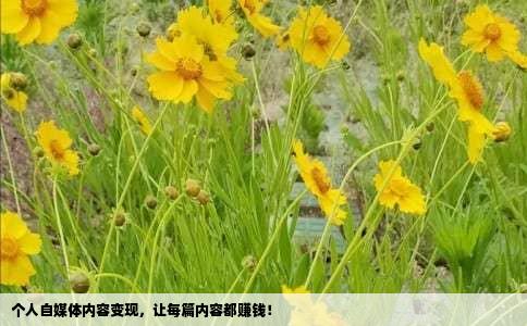 个人自媒体内容变现，让每篇内容都赚钱！