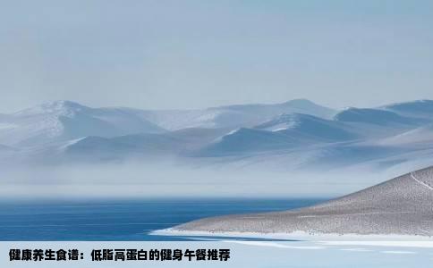 健康养生食谱：低脂高蛋白的健身午餐推荐