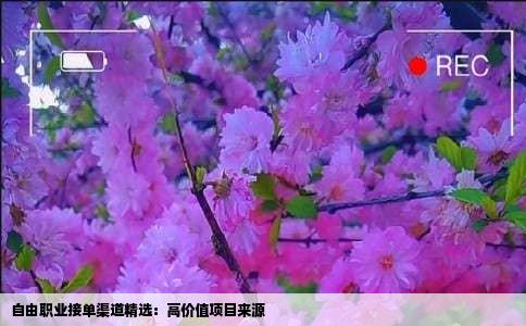 自由职业接单渠道精选：高价值项目来源