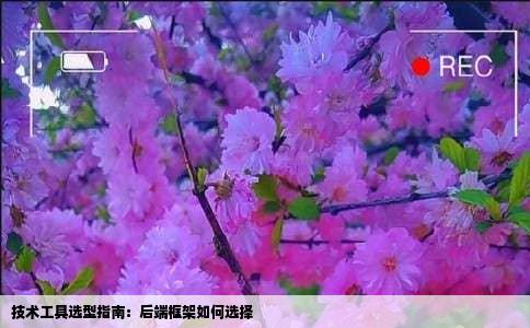 技术工具选型指南：后端框架如何选择