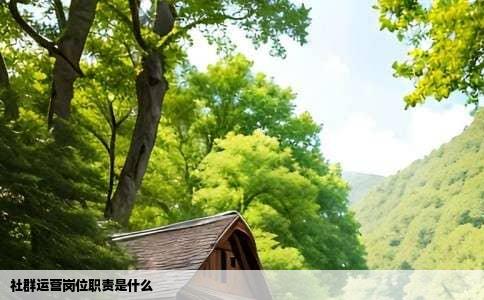 社群运营岗位职责是什么