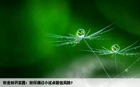 创业知识实践：如何通过小试点降低风险？