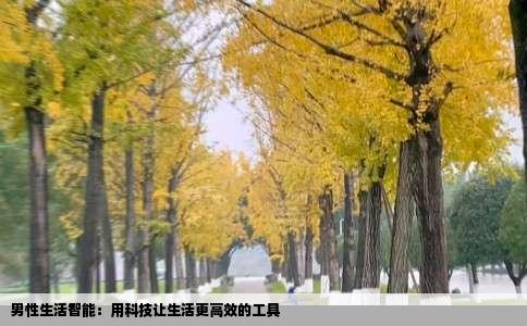 男性生活智能：用科技让生活更高效的工具