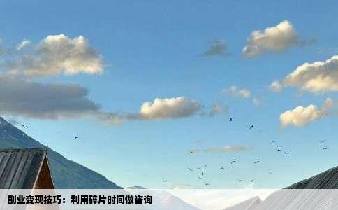 副业变现技巧：利用碎片时间做咨询