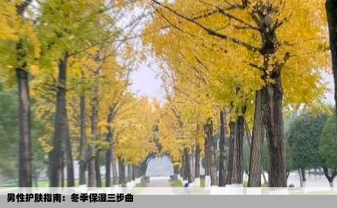 男性护肤指南：冬季保湿三步曲