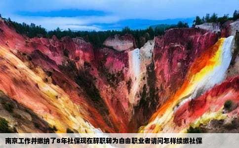 南京工作并缴纳了8年社保现在辞职转为自由职业者请问怎样续缴社保