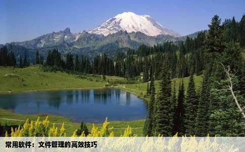 常用软件：文件管理的高效技巧