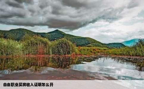 自由职业买房收入证明怎么开
